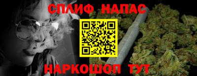 дмт Дубна