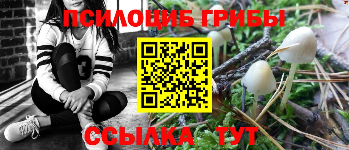 Псилоцибиновые грибы Psilocybe  Галлюциногенные грибы MAGIC MUSHROOMS  Вход с VPN  Прохладный 